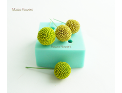 "Краспедия " Силиконовый молд.