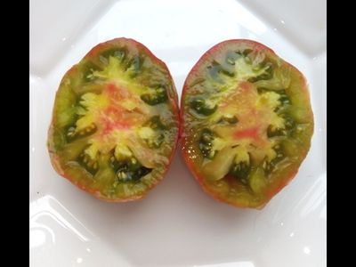 Томат Бунте Пфлауме (Красочная слива, Bunte Pflaume)