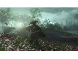 Игра Ghost of Tsushima: Director’s Cut (PS5)