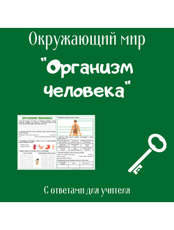 Рабочий лист. 3 класс. "Организм человека"