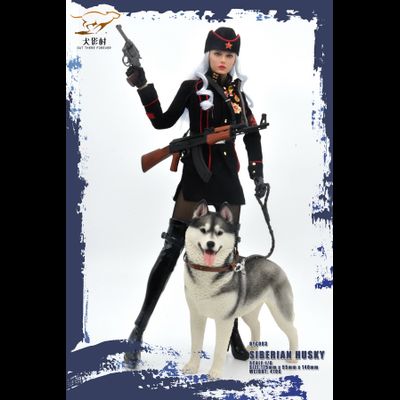 Сибирская хаски (серая) - Коллекционная ФИГУРКА 1/6 scale Husky (QYC003D) - QuanYingCun