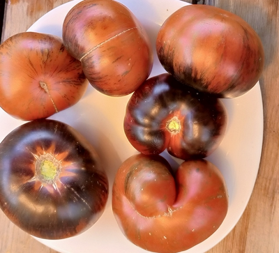 Томат Татьянин яхонт