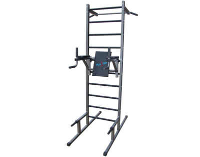 Стойка PRO-T + брусья Б-ПС