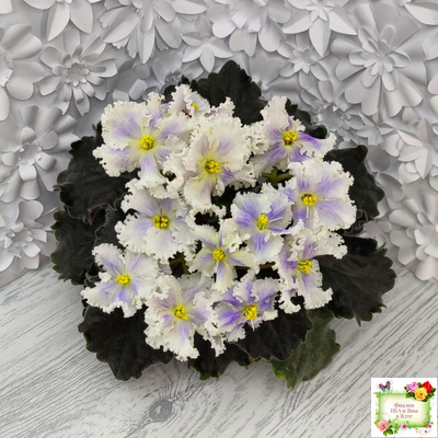 РМ-Золотой Берилл (Н.Скорнякова)