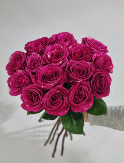 Роза Эквадор 60 см 15 шт