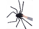 огромный, большой, паук, паучок, спаун, паутина, страшный, ужасный, чёрный, хелоуин, spider, тварь
