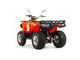 Купить Квадроцикл MOTOLAND ATV 200 MAX