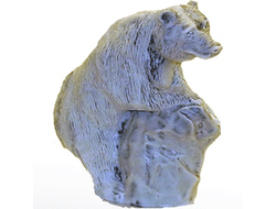Медведь бурый на камне.ОПТ