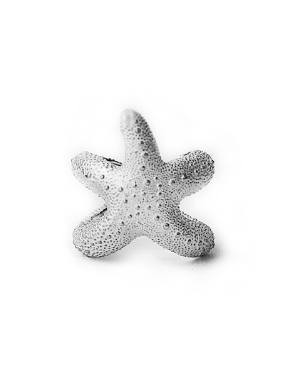 Кольцо Морская звезда AQUA Collection
