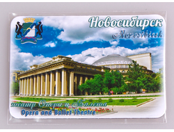 Гибкие магниты на холодильник 8х6 см.