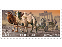 Почтовая марка для почтовой открытки для посткроссинга: Фауна России. Животные на войне. Верблюды