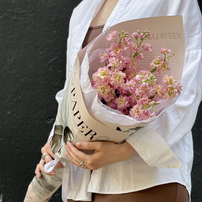 Аромат прованса