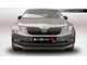 Premium защита радиатора для Skoda Octavia A7 рестайлинг (2017-2020) из 2-х частей