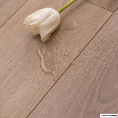 Ламинат Winlerk Comfort Oak Alland C908 33 класс толщина 12 мм с фаской 1.637 м2