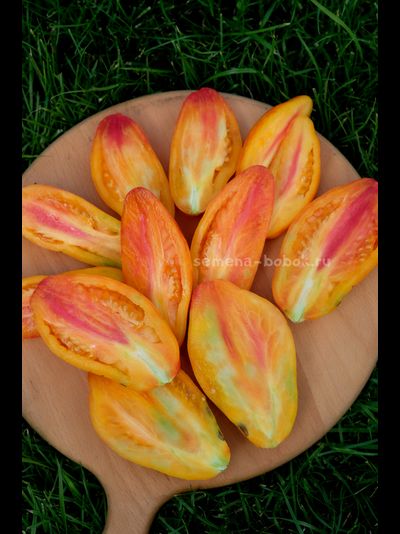 Томат Желтый Тюльпан, 5 шт