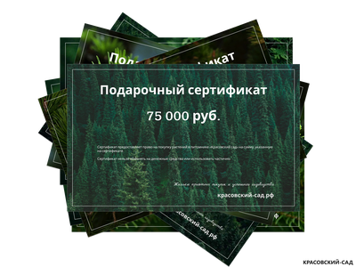Подарочный сертификат на приобретение и посадку растений