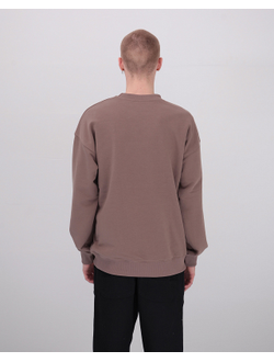 Толстовка Оверсайз Anteater Crewneck Кофейная