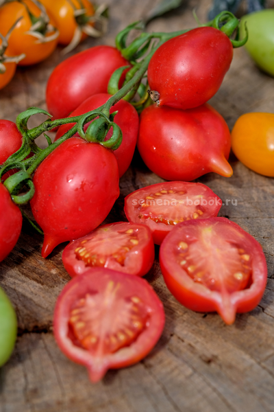 Томат Маленькое смущение Керстин (Kerstin`s piennolo), 10 шт