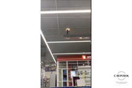 Высотные работы в Ленте