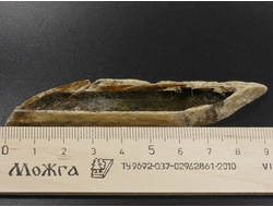 Гипс, кристалл, Россия, Ставропольский край (93*13*9 мм, 21 г) №29487