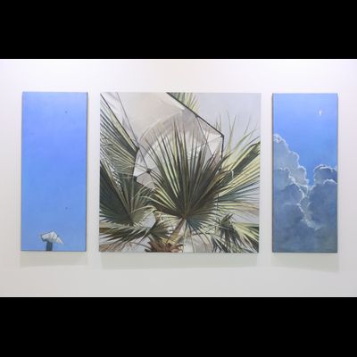 Серия &quot;Бора&quot; (Синь, Бора, Высь)