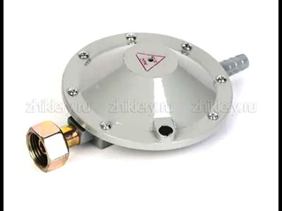 Редуктор газовый РДСГ 1-1.2 "Лягушка"