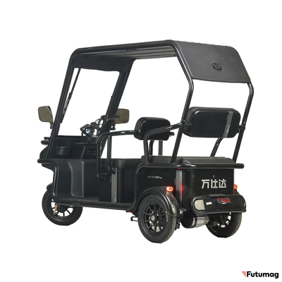 Электротрицикл Wanshida NIPLA 570 60V 1000Вт черный