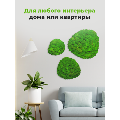 МИКС ЭКО-КАРТИН 1015