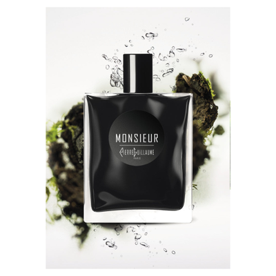 MONSIEUR PIERRE GUILLAUME