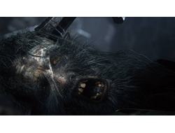 Игра Bloodborne (PS4)