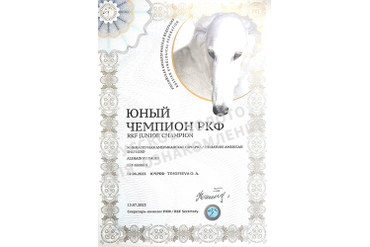 Аля. Диплом Юный Чемпион РКФ