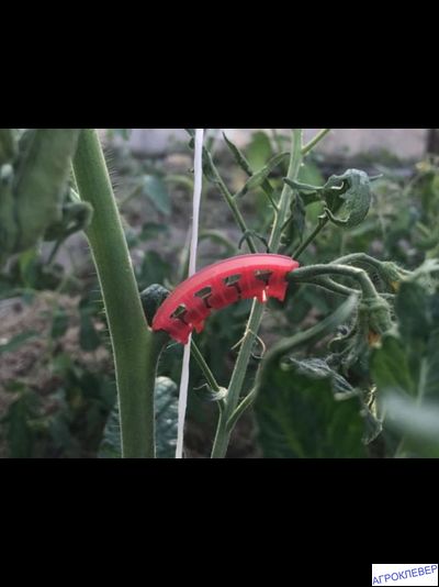 Кистедержатель для растений