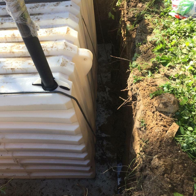 Погреб Рекорд 1900