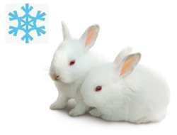 Кролики кормовые замороженные