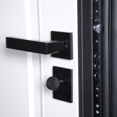 Стальная дверь   Сапсан (умная электронная дверная ручка с отпечатком пальца Smart lock T888 Черная)