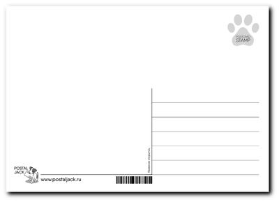 Волчонок. Сон в летнюю ночь