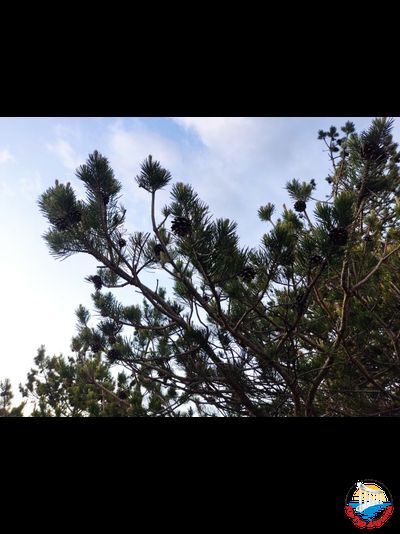 Джип-тур на Долину приведений + закат солнца на вершине горы