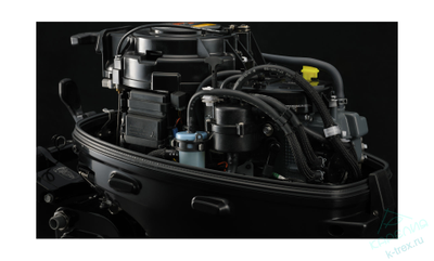 Лодочный мотор Suzuki DF9.9BS (BL)