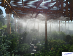 фоггреры для растений