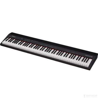 Roland GO:PIANO 88KEYS 2