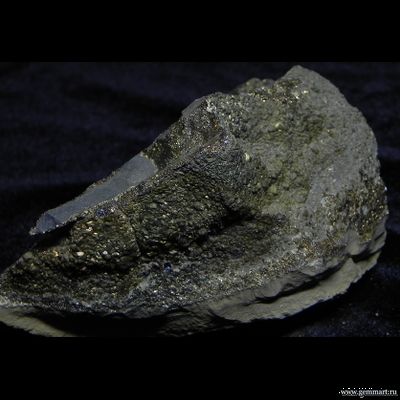 Пирит, "спектропирит", в полости конкреции. Россия. 93*70*50мм