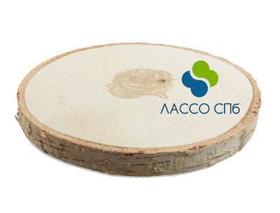 Заготовка срез дерева 23 см ± 3