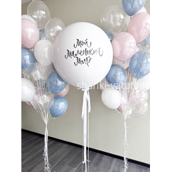 Гендер - шар  "Мой маленький мир"