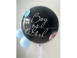 Комплект на гендер-пати №11