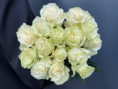 Роза Эквадор белая мондиаль 60 см. 15 шт