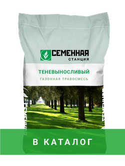 Семена теневыносливые. Почвопокровники в саду. Состав травы для газона. Семена теневыносливые. Семена теневыносливые.