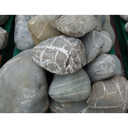 Валун паутинник