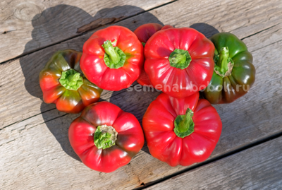 Перец сладкий Александр, 10 шт