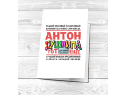 Картхолдер #3 Антон