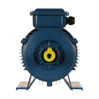 Электродвигатель 5АИ 90L4 (2,2 кВт) IM 1081